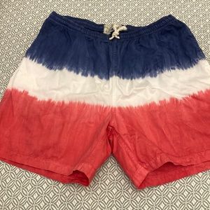 Wellen America dad Swim Shorts